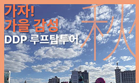 노을빛으로 물든 서울, DDP 지붕 위에서 만나는 특별한 가을